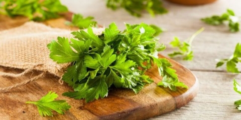 Kako sušiti peršun kod kuće da ne požuti (5 metoda)